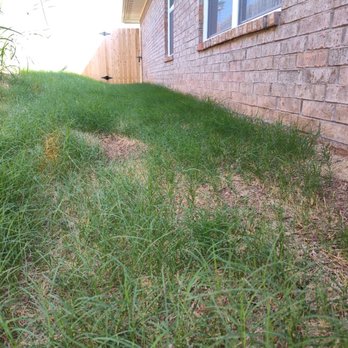 PS and CS Services Unlimited - a lawn with grass growing on the side of a house - Lawn Services Near Me PS and CS Services Unlimited - a lawn with grass growing on the side of a house - Lawn Services Near Me