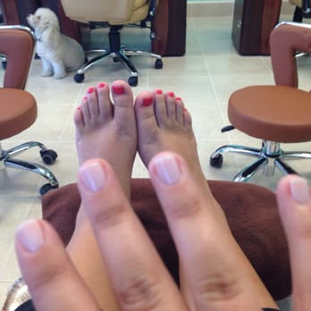 Rose's Nails - Great mani/pedi and Roy is the best salon pup! - Nail Salons Near Me - Hallandale Beach, Florida Rose's Nails - Great mani/pedi and Roy is the best salon pup! - Nail Salons Near Me - Hallandale Beach, Florida