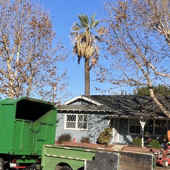 Lozada Tree Service - Tree Services Near Me Lozada Tree Service - Tree Services Near Me