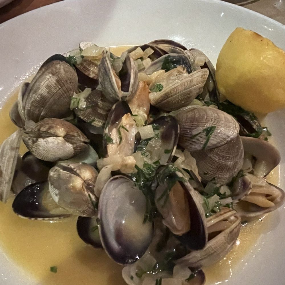 Alora Social - Clams - Mediterranean Near Me - San Ramon, California Alora Social - Clams - Mediterranean Near Me - San Ramon, California