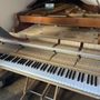 Photo of The Piano Mechanic