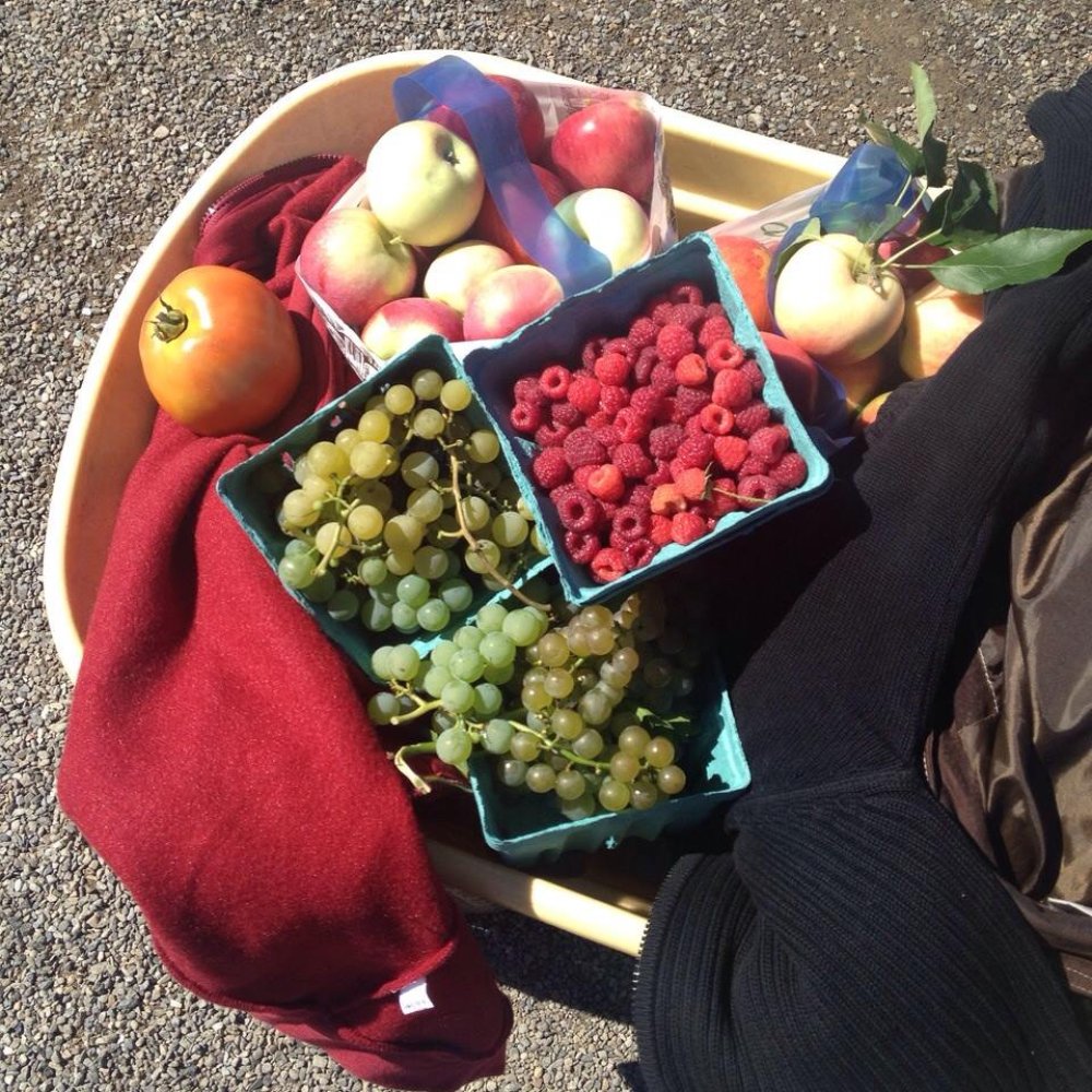 Barton Orchards - Farmers Market Near Me - Poughquag, New York
