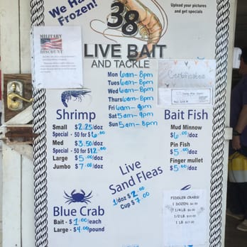 38 Live Bait - 38 Live Bait - Fishing Near Me - New Smyrna Beach, Florida