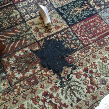 National Multi Steam - Atempted, but couldn't even begin to clean this up! - Carpet Cleaning Near Me - Napa, California National Multi Steam - Atempted, but couldn't even begin to clean this up! - Carpet Cleaning Near Me - Napa, California