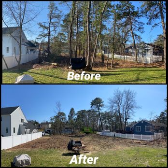 TreeMasters - before and after photos of a yard - The image shows a side-by-side comparison of a backyard before and after tree removal. The 'Before' section displays a yard with numerous tall trees and dense foliage, while the 'After' section reveals a cleared space with fewer trees and more open ground. Both images include residential houses, a white fence, and a blue sky, illustrating the landscape change following tree removal services. - Tree Services Near Me - Brick, New Jersey