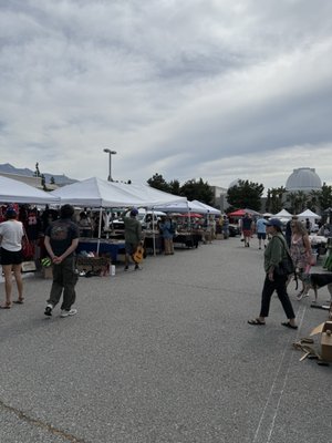 PCC Flea Market by null