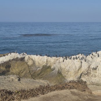 Leo Carrillo State Park - Great birdwatching - Parks Near Me - Malibu, California Leo Carrillo State Park - Great birdwatching - Parks Near Me - Malibu, California