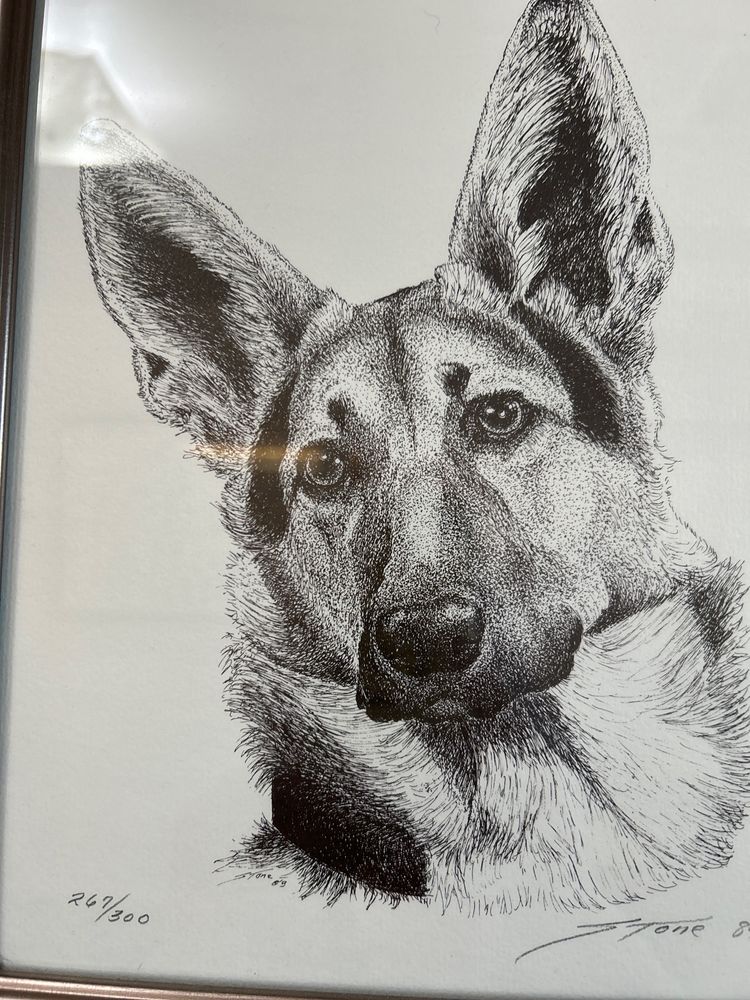 DEL PASO VETERINARY CLINIC Updated September 2024 50 Photos & 193