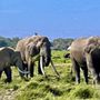 Photo of Piper & Heath Travel Africa