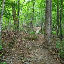 Totier Creek Reservoir Park - Part of the trail