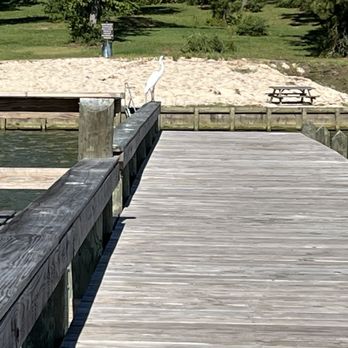 The Preserve RV Park - Heron while we fish - Parks Near Me - Point Blank, Texas The Preserve RV Park - Heron while we fish - Parks Near Me - Point Blank, Texas
