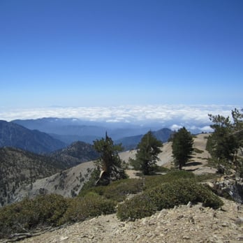 Mount Baden-Powell Trail - Hiking Near Me