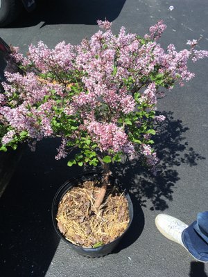 ED’S FEED & SEED - Updated January 2025 - 11 Photos & 10 Reviews