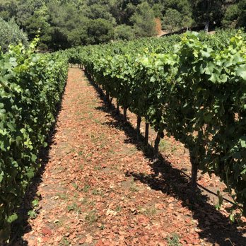 Rhizos Viticulture - Business Consulting Near Me