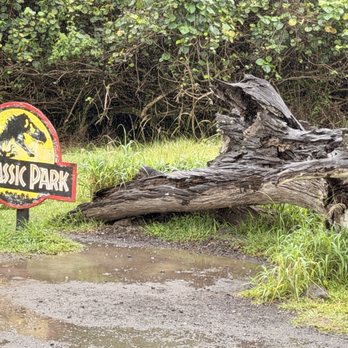 Kualoa Ranch - Jurassic Park log from original movie. - Tours Near Me - Kaneohe, Hawaii