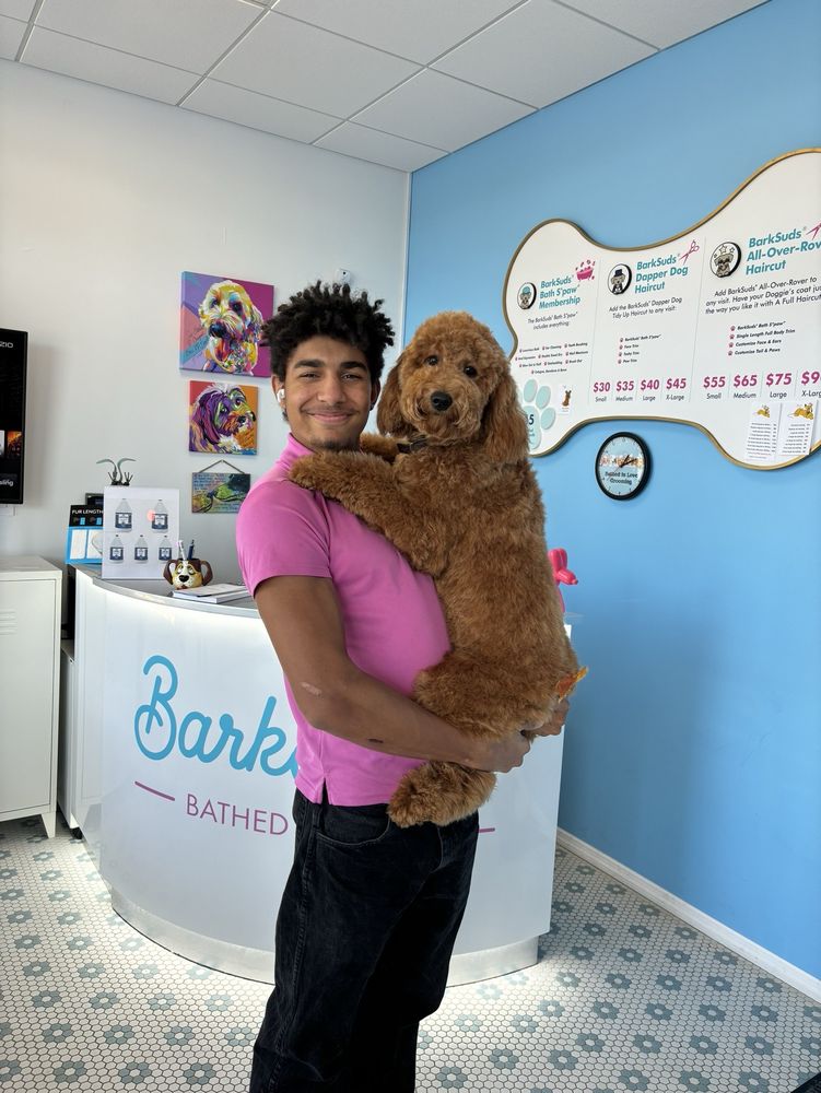 Trinity BarkSuds - Pet Groomers Near Me - New Port Richey, Florida