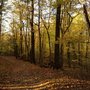 Photo of Findley State Park