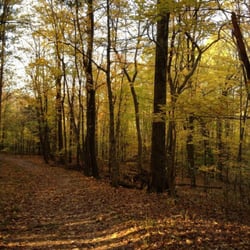 Findley State Park