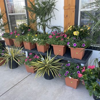 Earl's Nursery - Entrance - Nurseries & Gardening Near Me - Harrah, Oklahoma
