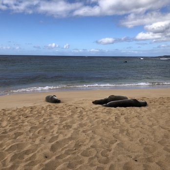 Poipu Beach - Beaches Near Me - Koloa, Hawaii Poipu Beach - Beaches Near Me - Koloa, Hawaii
