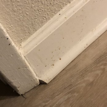 Carolina Winds - Stains - Hotels Near Me - Myrtle Beach, South Carolina