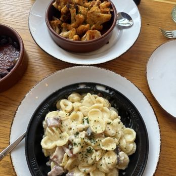 ZINO - Mac and cheese + patatas bravas - Mediterranean Near Me - Berkeley, California ZINO - Mac and cheese + patatas bravas - Mediterranean Near Me - Berkeley, California