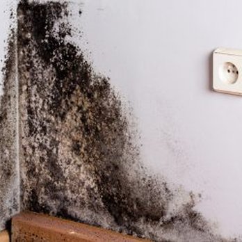 Fuera Humedad - Humedades por condensación - Home Services Near Me - Madrid, M