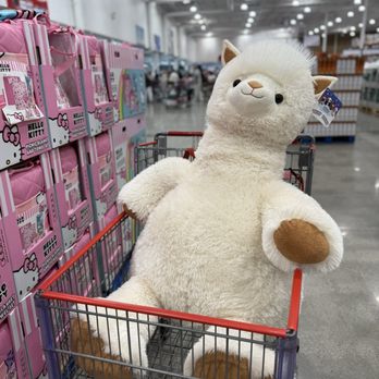 Costco Wholesale - Wholesale Stores Near Me - Garden Grove, California Costco Wholesale - Wholesale Stores Near Me - Garden Grove, California