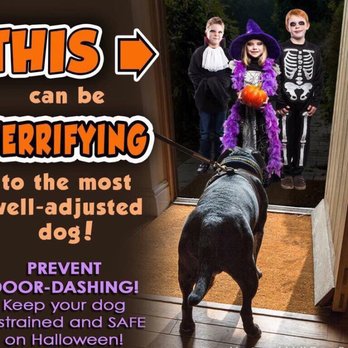 Planet Dog Walking & Cat Sitting - Give your dog a frozen Kong and hang out away from the front door. - Dog Walkers Near Me Planet Dog Walking & Cat Sitting - Give your dog a frozen Kong and hang out away from the front door. - Dog Walkers Near Me