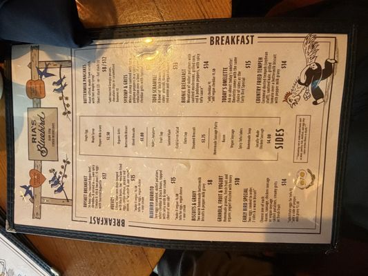 Ria's Bluebird by null Ria's Bluebird by null