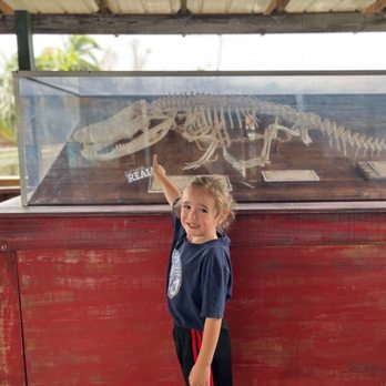 Gatorland - And that is what an alligator looks like without his skin! - Zoos Near Me - Orlando, Florida