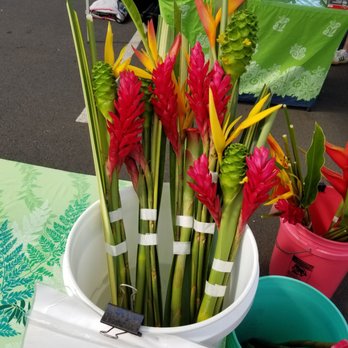 96744 Tropic Flowers - Best deal! - Florists Near Me - Honolulu, Hawaii 96744 Tropic Flowers - Best deal! - Florists Near Me - Honolulu, Hawaii