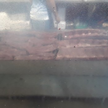 Tacos Apson - Grilling the meat! - Mexican Near Me - Tucson, Arizona Tacos Apson - Grilling the meat! - Mexican Near Me - Tucson, Arizona