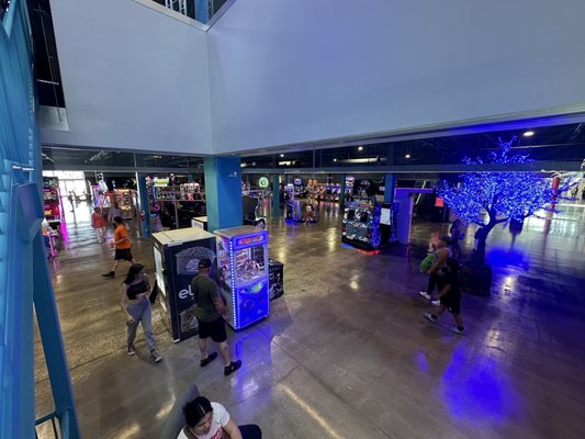 ELEV8 FUN TAMPA | 55 Photos & 27 Reviews - 7902 Citrus Park Town Center