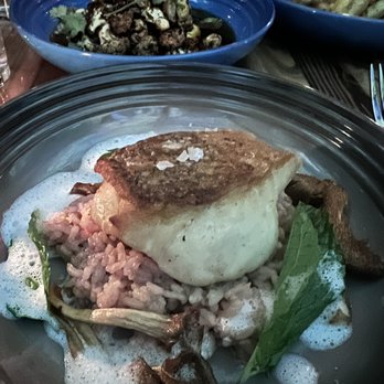 Tempest - Snapper - Seafood Near Me - Charleston, South Carolina Tempest - Snapper - Seafood Near Me - Charleston, South Carolina