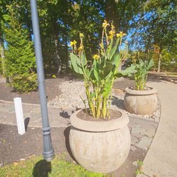 Kean University - Beautiful grounds