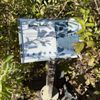 Oakland Nursery gift card