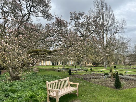 Oxford Botanic Garden by null
