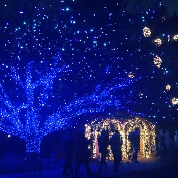 Denver Botanic Gardens - The glow was beautiful. - Botanical Gardens Near Me - Denver, Colorado