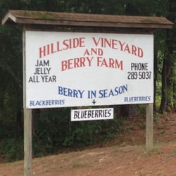 Hillside Vineyard and Berry Farm - Sign on the roadside