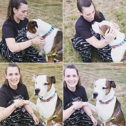 destination doggie - Meet Louie