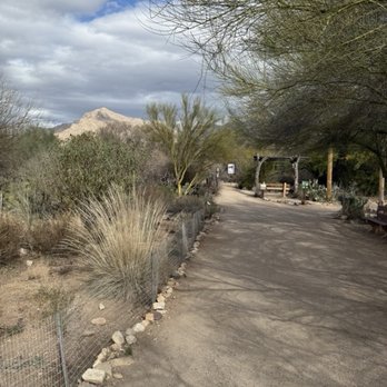 Tohono Chul - Photo taken in the garden. - Museums Near Me - Tucson, Arizona Tohono Chul - Photo taken in the garden. - Museums Near Me - Tucson, Arizona