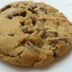 7-Eleven - Cookie is ok.