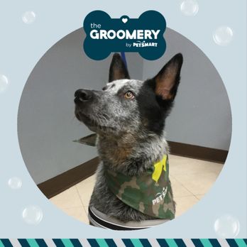 PetSmart - Spa day w/ Erika - Pet Stores Near Me - Buena Park, California PetSmart - Spa day w/ Erika - Pet Stores Near Me - Buena Park, California