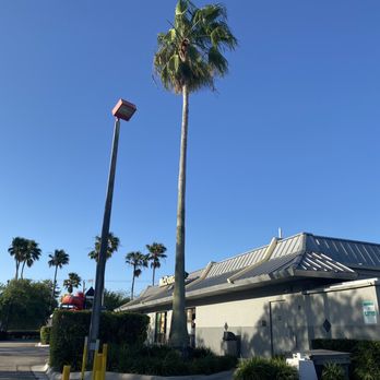 McDonald's - a tall palm tree in front of a restaurant - Fast Food Near Me - Boca Raton, Florida