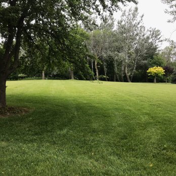M & M Management Property - a grassy field with trees - Landscaping Near Me M & M Management Property - a grassy field with trees - Landscaping Near Me