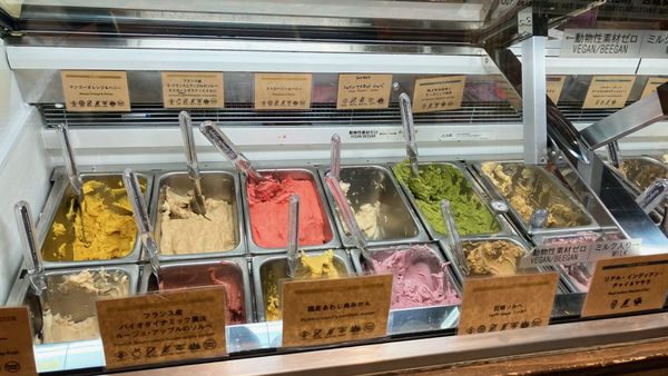 Premarché Gelateria & Alternative Junk by null