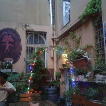 Mandragora - Social Clubs Near Me - Prague, Puerto Rico Mandragora - Social Clubs Near Me - Prague, Puerto Rico