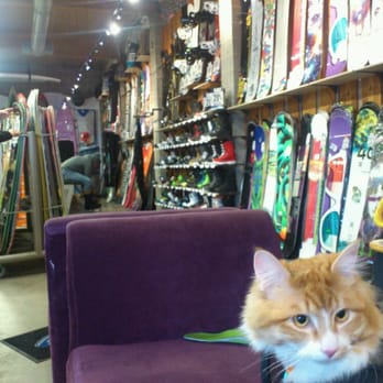 Pacific Boarder - Cat friendly :-) - Outdoor Gear Near Me - Vancouver, British Columbia Pacific Boarder - Cat friendly :-) - Outdoor Gear Near Me - Vancouver, British Columbia