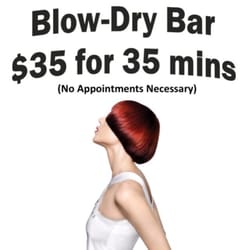 BlowDry 427